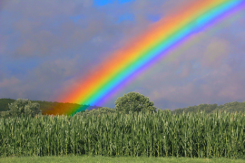 arcobaleno 20 lista